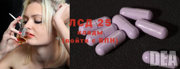 индика Балахна