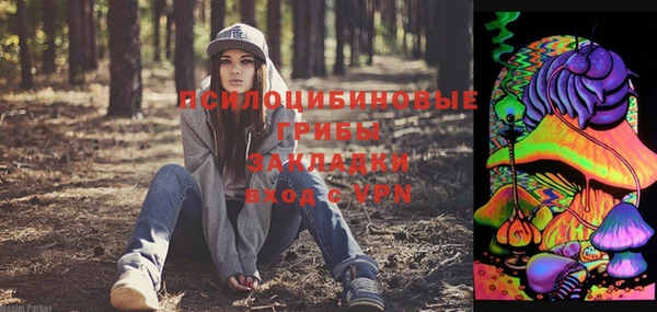 индика Балахна