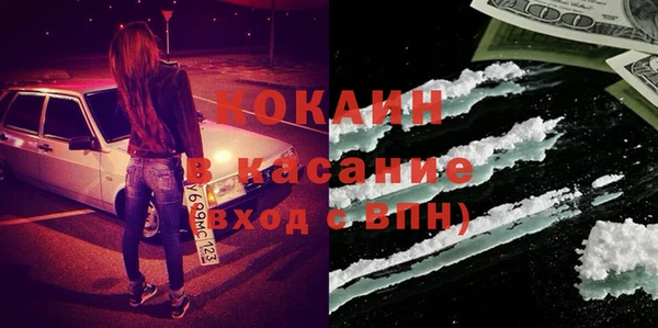индика Балахна