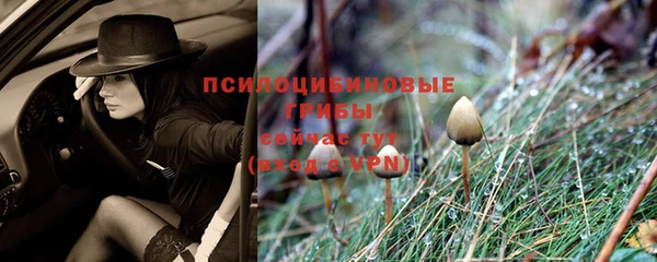 индика Балахна
