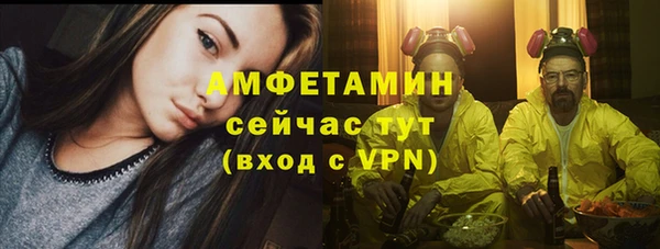 индика Балахна