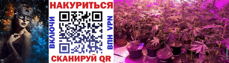 как найти закладки  Костерёво  Марихуана конопля 